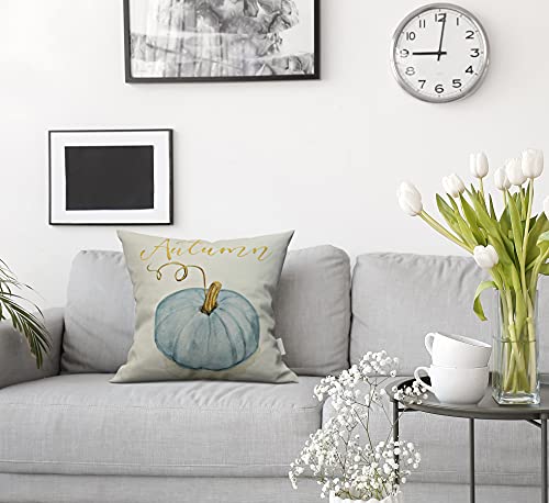 Taysta Pillowcases Decorative Autumn Fall Blue Gray Cinderella Pumpkin Watercolor Throw Pillow Covers Case Cases Cover Cushion Sofa Size 16X16 Inches Two Side #TOP1