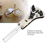 Zoom IMG-2 phefop monitoraggio della sorveglianza del Zoom IMG-2 phefop monitoraggio della sorveglianza del