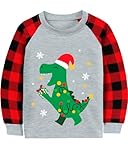 Toddler Boy Dino Christmas Shirt Girl Buffalo Red Plaid Tshirt Colour Bulb Dinosaur Raglan Sleeve Ugly Xmas Clothes Kids Tee Tops 3T