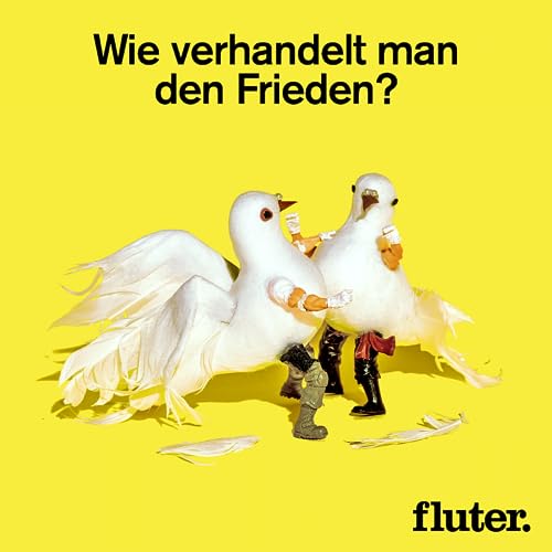 Wie verhandelt man den Frieden? &ndash; Pause mit Friedensmediatorin Luxshi Vimalarajah