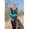 Multipet-Dog-Toy Multipet's Goblet Dog Toys