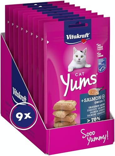 Produktbild von Vitakraft Cat Yums Katzensnack mit Lachs - 9 x 40 g