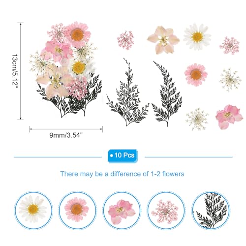 Flores prensadas secas para manualidades, pack de 10 miniatura 2
