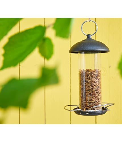 Dehner Natura Wildvogelfutter, getrocknete Mehlwürmer, proteinreich, 80 g