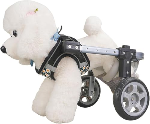 Chariot pour chien à deux roues avec harnais réglable de soutien avant et arrière