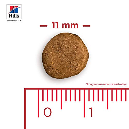 Ração Hill's Science Diet para Gatos Adultos - Controle de Bolas de Pelo - 7,5kg