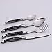 Laguiole By FlyingColors Stainless Steel Flatware Set. Black Color Handle, Wooden Storage Box, 34 Pieces