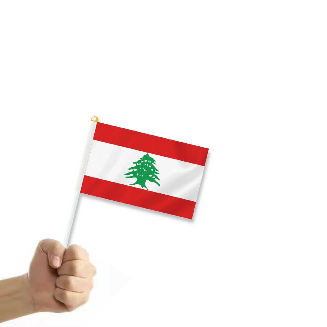 Guirlande De 30 Drapeaux Du Liban – 10 Mètres, Polyester Résistant, Pour Décoration Intérieure/extérieure