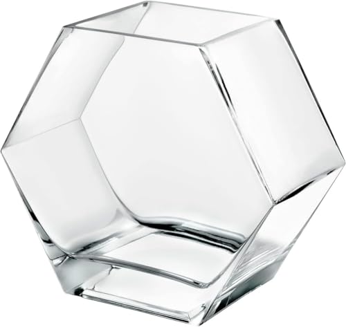 Honey Zone Zp`KX_J ANAE ^  ACeAp ۃeE ㎺p (F,L) (Medium,Ƃ߂傭)