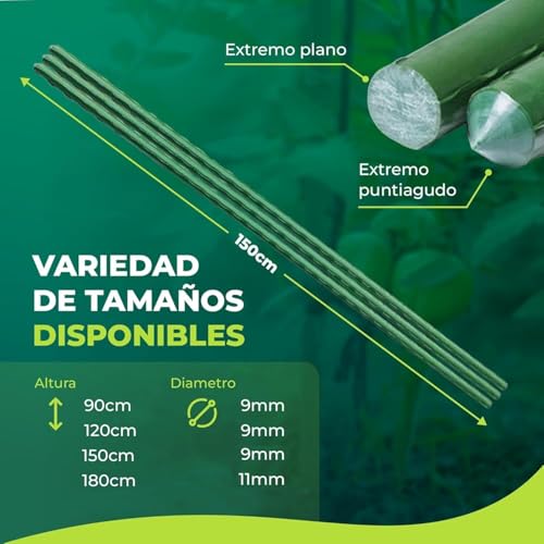 Control Garden Set van 30 plantensteunen van met kunststof gecoat staal, Ø 8-10 mm, groeistokken voor planten, geschikt voor binnen en buiten (150 cm)