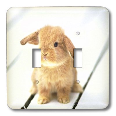 Interrupteur à bascule double robuste avec motif lapin Barbara