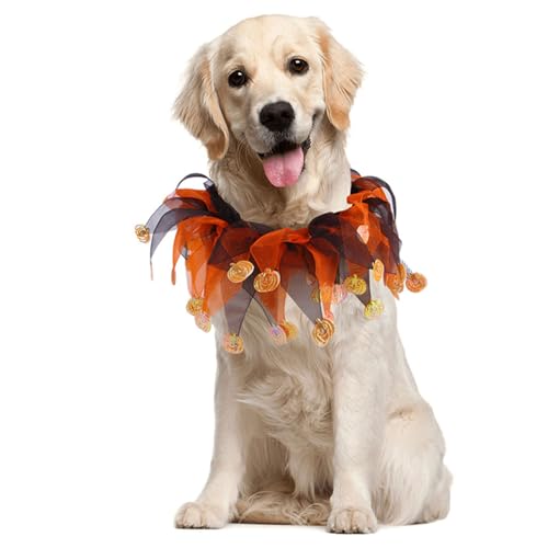 Collier de Couleur Halloween pour Chien et Chat - Confort Garanti Sans Irritation