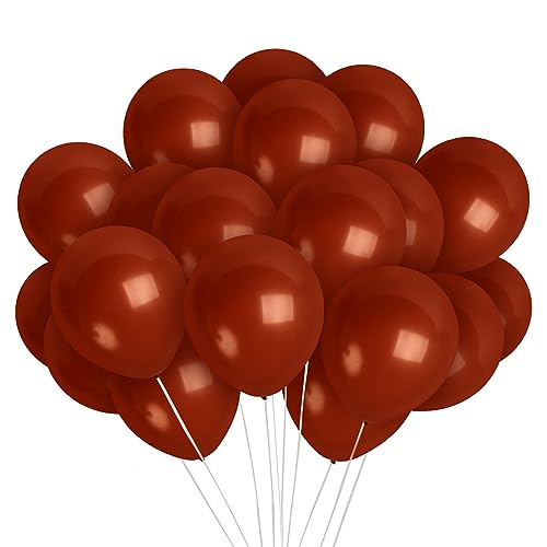 Treasures Gifted 100 Pack Brown Mocha Balloons - 12 Inch Round Latex Balloons - Neutral Dark Beige - Perfect for General Celebrations, Children & Families