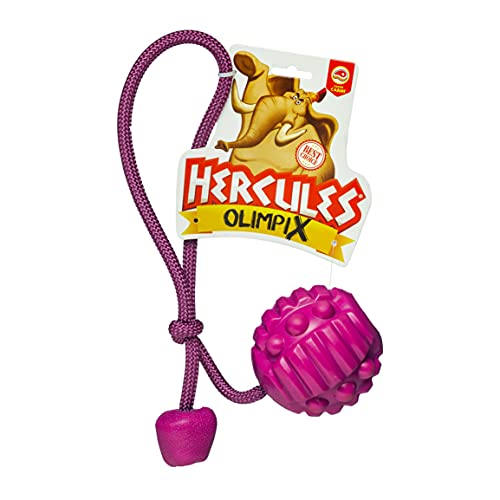Brinquedo para Cachorro Hercules Bola Porta Petisco com Corda, GermanHart, OlimpiX Carne Roxo, Único