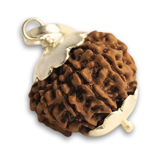 Astro Cart11 Mukhi Rudraksha Original Certified Nepali 11 Mukhi Rudraksha एकादश मुखी रुद्राक्ष Brown Gyarah Mukhi Rudraksha Locket Pure 11 Face Rudraksha For Men Women-image-45