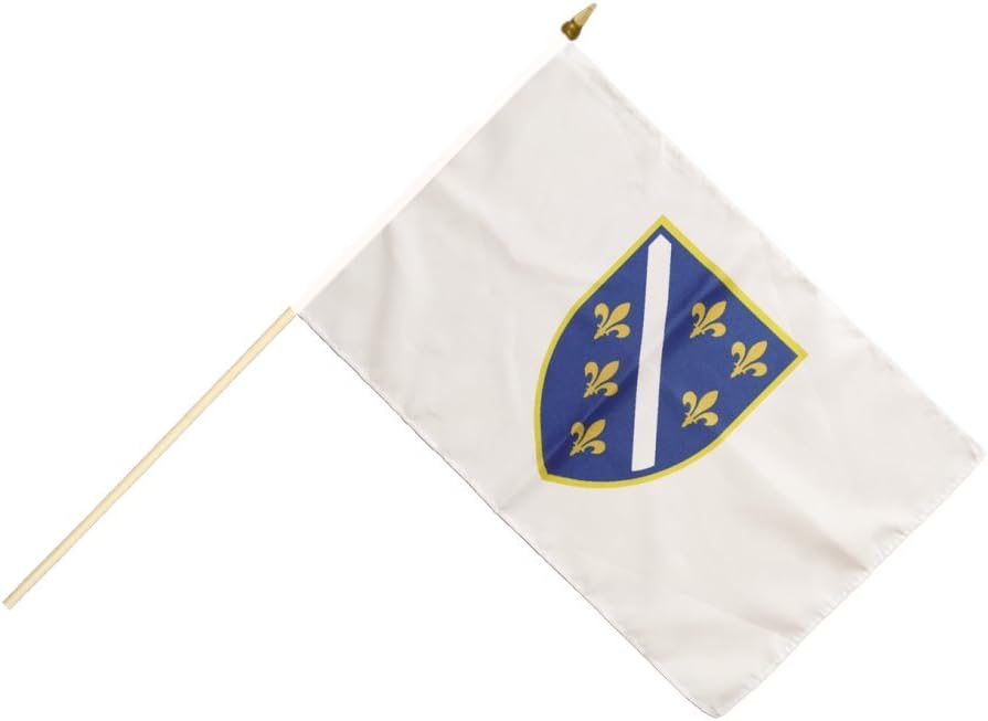 Flaggenfritze Stick Flag Bosnia Old 1992-1998 30 x 45 cm - Handy for Swivelling Decorating and Showing Flag