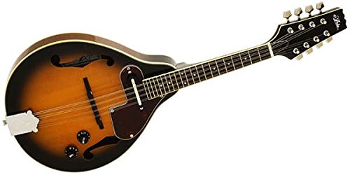 Amazon | 【国内正規品】 ARIA アリア マンドリン AM-20E | マンドリン 
