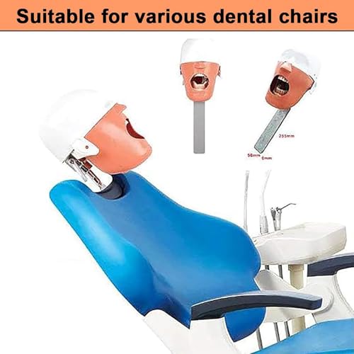 Simulatore di testa di manichino dentale, modello fantasma dentale con regolazione a 360 gradi, sicuro e inodore per la formazione di dentisti e assistenti