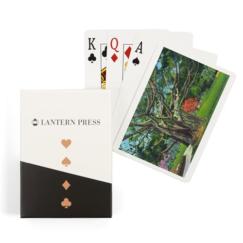 Baraja de Poker Fort Myers, Florida, 52 cartas