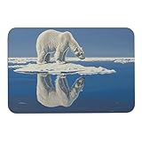 【Robust und stabil】 Die Oberfläche dieser Eingangspad besteht aus einem einzigartigen Heißschmelz-Pflanzproduktionsprozess, der robust, stark und flexibel ist. Die Wohnzimmermatte im Außenbereich hält einer Vielzahl von Wetter- und saisonalen Veränderungen stand, egal ob es sonnig, regnerisch oder schneereich ist