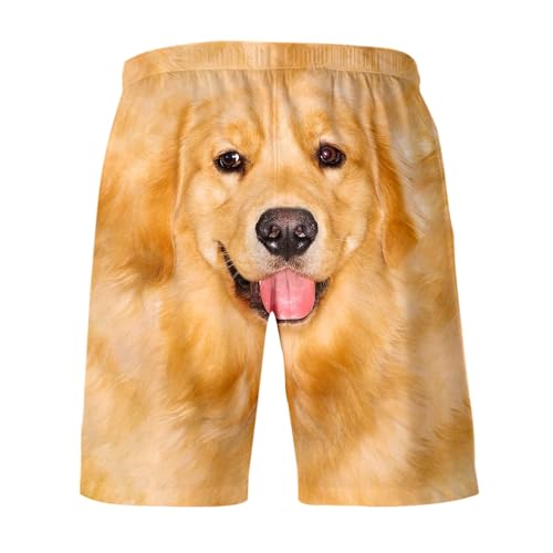 Short running homme avec poche et imprimé 3D amusant motif chien coloris gold