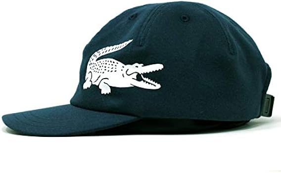 41cbLSTaHPL._AC_UY350_.jpg