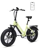 Bodywel F20pro Elektrofahrrad Herren Damen, 20 E-Bike Tiefeinsteiger Alltag & Abenteuer, 48V 20AH Akku, 250W 65NM Heckmotor, 7-Gang, 4,5“ LED-Display, Federgabel (F20PRO 20AH Grün.)