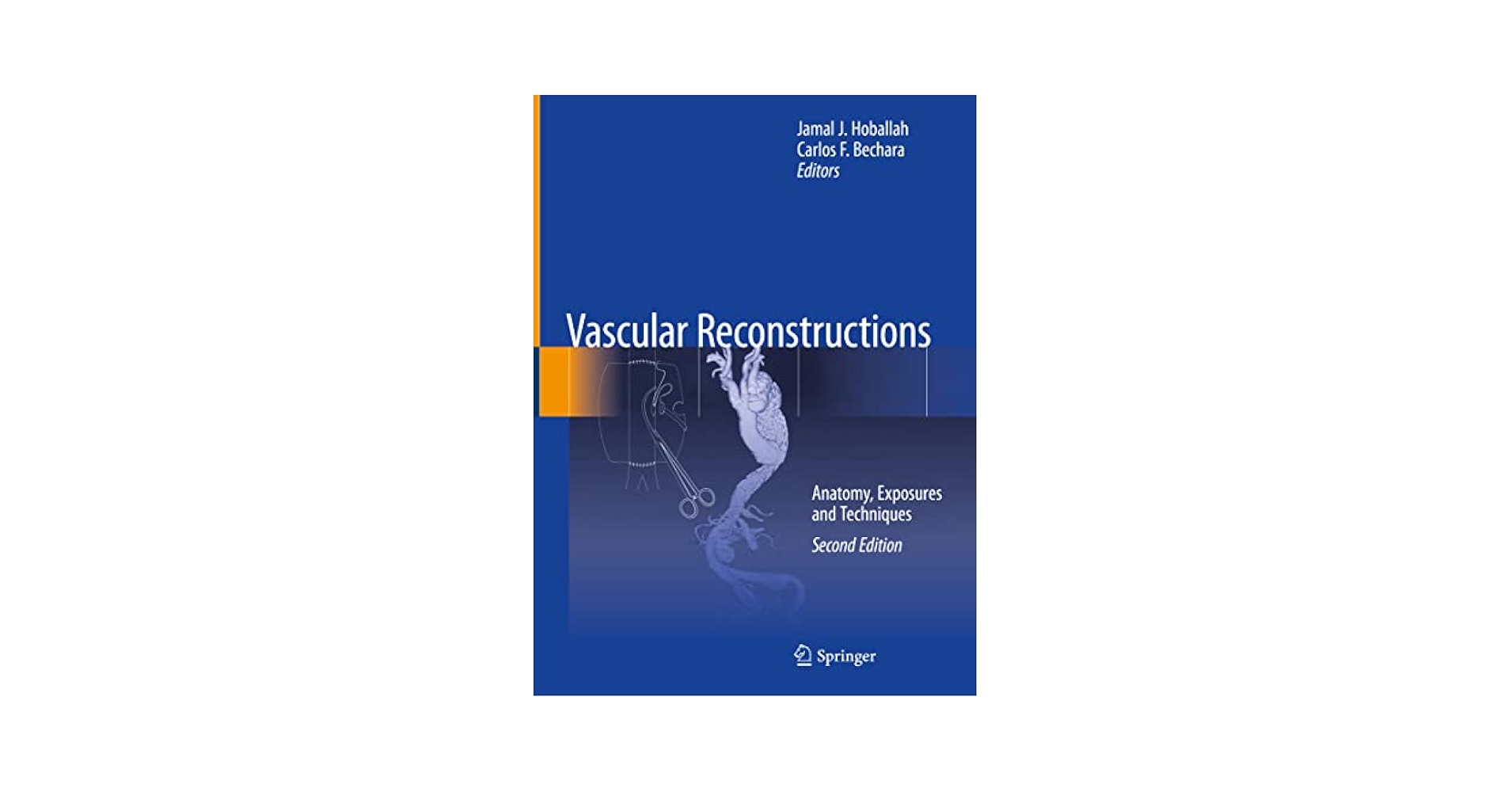 健康・医学 ANATOMIC EXPOSURES IN VASCULAR SURGERY Anatomic Exposures in Vascular Surgery: 9780781741019