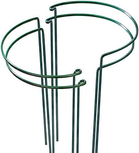 LEOBRO 4 Pack Plant Support Stake, Metal Garden Plant Stakes, Peony Support, Tomato Cage, Half Round Plant Support Ring Cage, Plant Support for Tomato, Rose, Vine, Indoor Plants (9.8" W x 15.7" H)