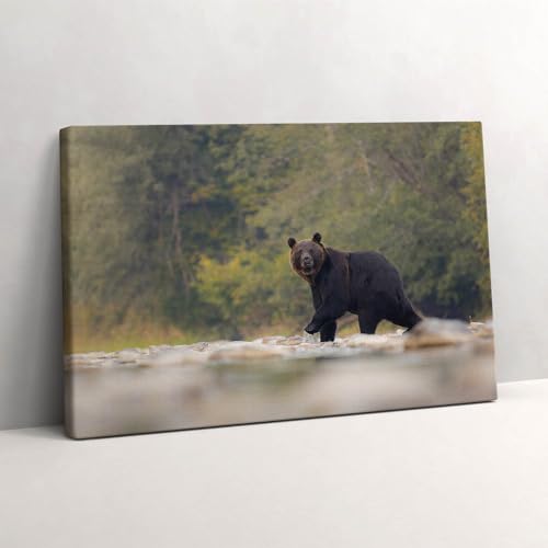 Peinture sur toile art mural ours nature tableau photo sur toile 30x20cm Wallfluent Bieszczady