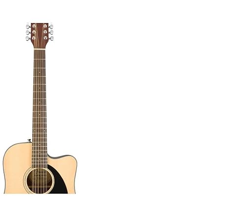 Amazon.com: Fender CD 60SCE Dreadnought 12 String Acoustic