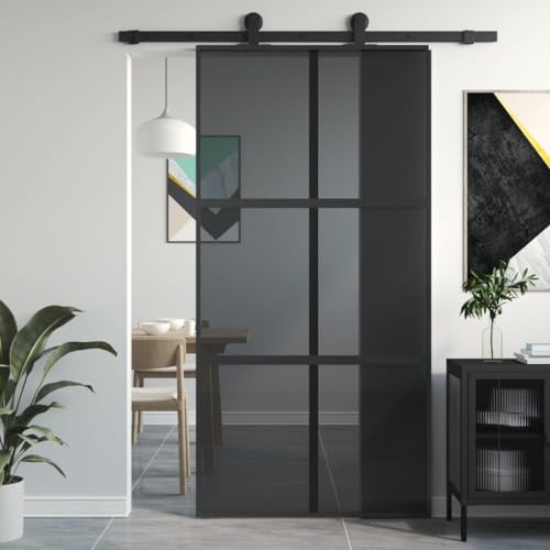 NITCA Porta Scorrevole Esterno Muro per Bagno, Cucina, Studio -
