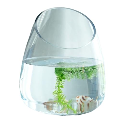 BQQB   ^[g^N e[u KX e ANAE {E | ϗtA _J e CeA e IuWF eE ԕr  Ɏqr Ԋ t[x[X  (23cm,Ƃ߂傭)