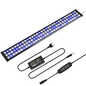 Yakimz Iluminación LED para acuario, iluminación para acuario, luz blanca y azul, 48 W, lámpara con soporte ajustable para acuarios de agua dulce de 90-120 cm