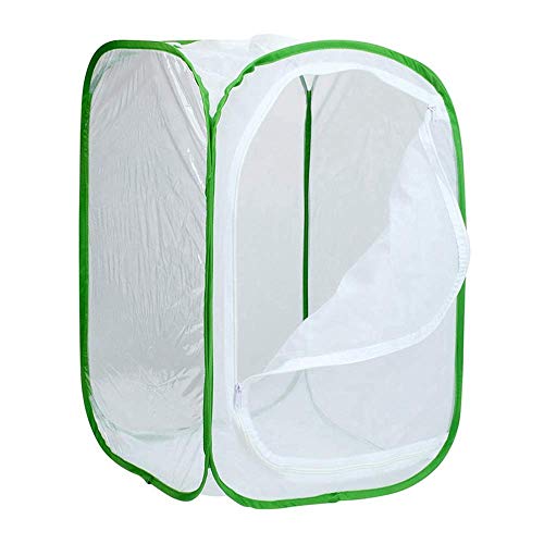 kokokwad Breeding Display Box Insect and Butterfly Habitat Cage Mesh Terrarium Pop-up Cage Novelty Habitat Feeding System Part (g)