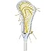 StringKing Women’s Complete Lacrosse Stick with Composite Shaft and Women's Type 4 Mesh (White/Yellow)
