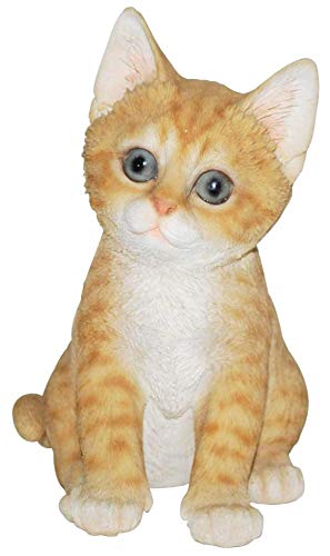 Vivid Arts Pet Pals Kätzchen, verspielt, Rotbraun