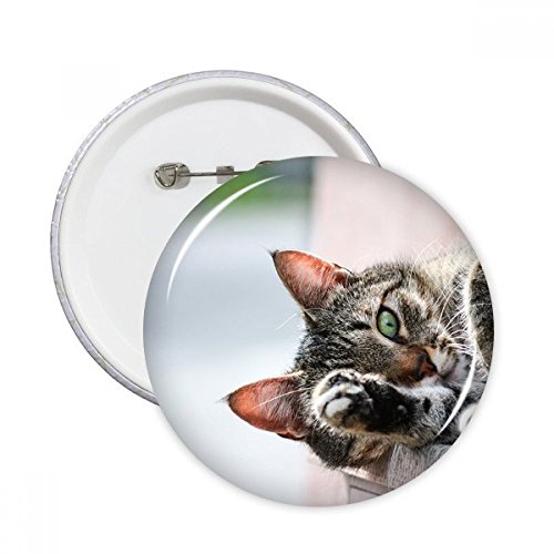 Badge chat bouton rond en cadeau original de photographie pour amateurs d'activité animale