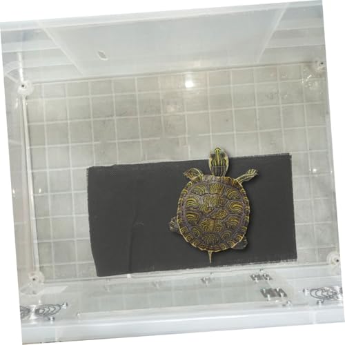 Almohadilla térmica USB para reptiles y pequeños animales miniatura 4