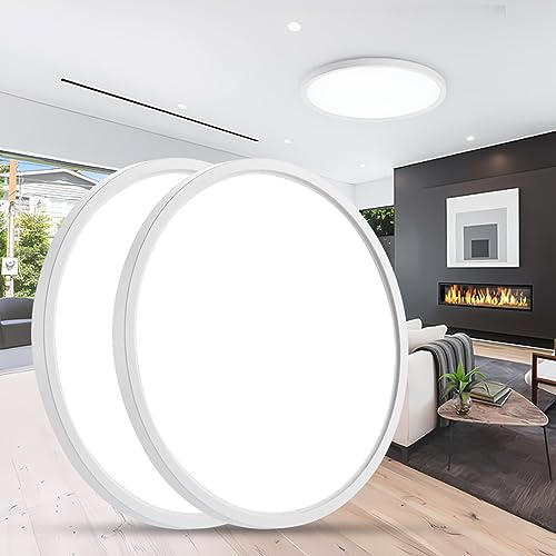TALOYA Flush Mount Led Ceiling Light Fixture Low Profile for Kitchen Bedroom Bathroom Outdoor Living Room Dining Room Hallway Porch Laundry Farmhouse,12 Inch,24W,3200LM,5000K,Thin,White,Round,2 Pack