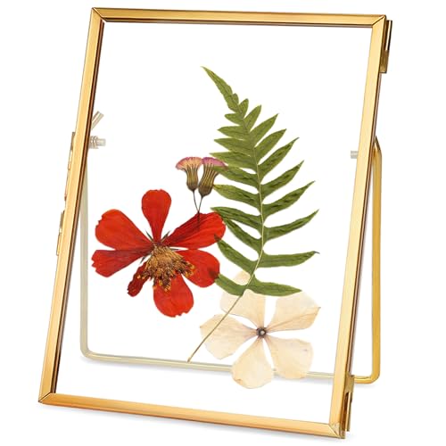 REDHUGO Glass Pressed Flower Frame Handmade Floating Picture Frames for Pressed Flowers Tabletop Artwork Photo Frames Brass Desk Picture Frame for Home Office Plant Specimen Gold 4x6 Inches