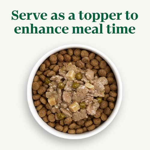 Image of Nutro Natural Choice Cuts in Gravy Wet Dog Food,Grain Free Dog Food Wet Recipes,Beef,Lamb,Chicken,and Turkey Variety Pack,3.5 oz. Trays,36 Count (Pack of 2)