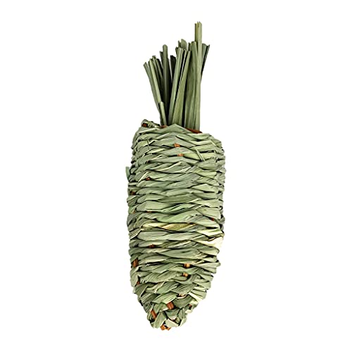 YIZITU Juguete natural con forma de zanahoria para pasto de heno, adecuado para dientes de ardilla y mascotas pequeñas