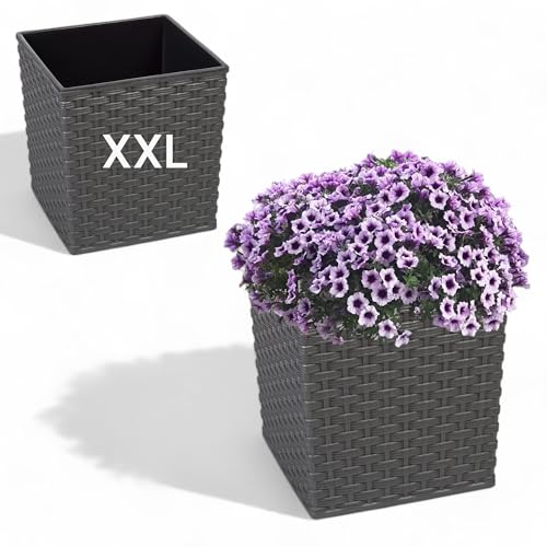 MELTOM Pflanzkübel aus Kunststoff in Rattan mit Herausnehmbaren Einsatz (Graphit, XXL-41cm)