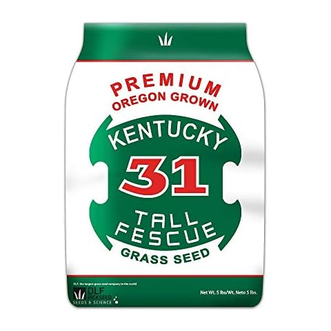Premium Oregon Grown Kentucky 31 Tall Fescue Grass Seed Cover