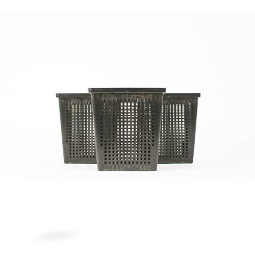 Inter Flowers GmbH Wasserpflanzenkörbe 11 x 11 cm / für Gartenteich - Geeignet für Teichpflanzen wie Seerosen / Kunststoff / Teichpflanzen / Gartenteich