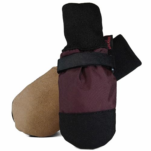 Top 10 Hot Weather Dog Boots of 2022 Katynel