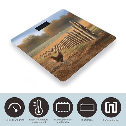 Báscula digital FekiLoot para baño con vidrio templado miniatura 3