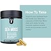 InnoSupps Wild Sea Moss Capsules - Immune Support Supplement for Vitality and Gut Health - Daily Vitamins for Men and Women (30 Servings)