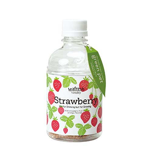 ＩＴＡＮＳＥ 育てるグリーンペット ワイルドストロベリー 1個売り 窓辺で育てる水耕栽培セット セパレート型のペットボトルで土を使わないで野菜やハーブを育てる水耕栽培キット ワイルドストロベリー 1枚目